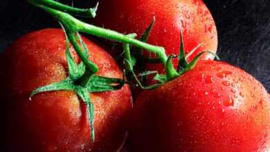 red tomato on black surface