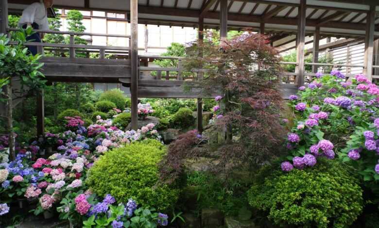 A garden filled with lots of different types of flowers