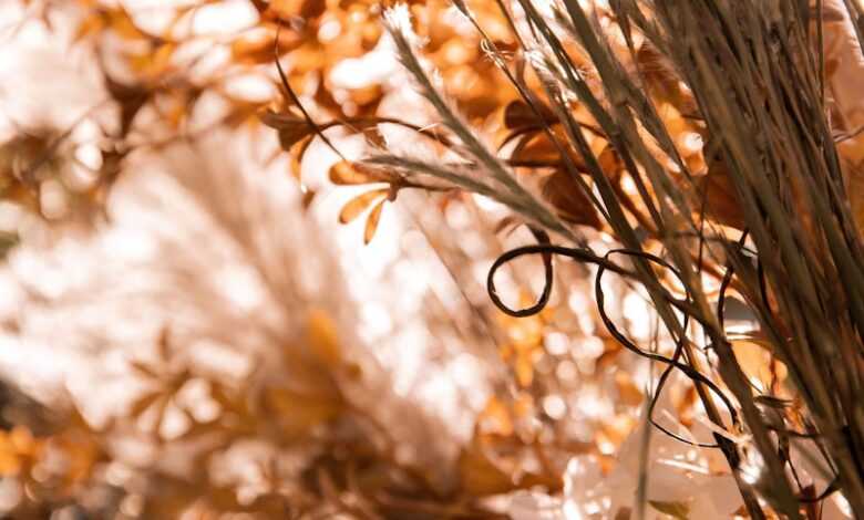 white flowers in tilt shift lens