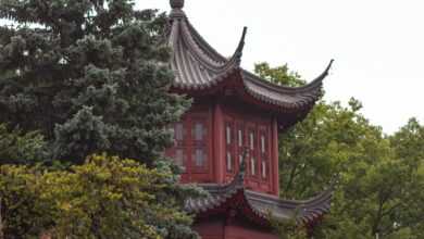 a tall red building sitting on top of a lush green forest