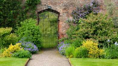 a garden with a brick wall and a gate