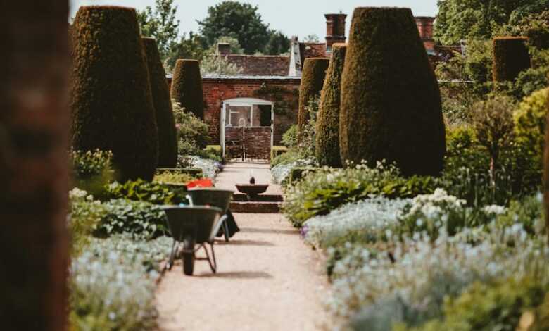 brown walkway beside green grass garden