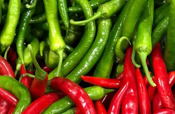 red chili lot in close up photography