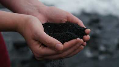 person holding black soil