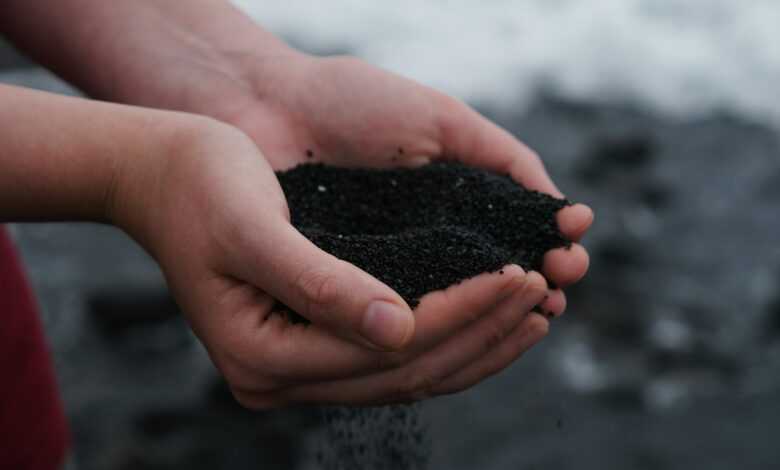 person holding black soil