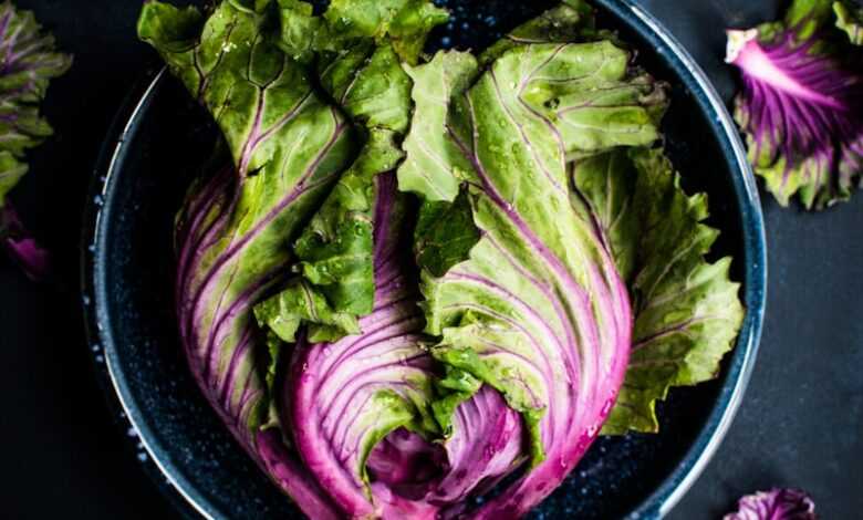 purple and green vegetable in black bowl