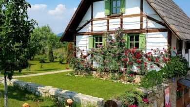 brown wooden house surrounded by green trees and flowers under blue sky during daytime