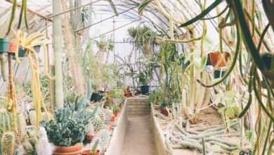 assorted plants on a white enclosure