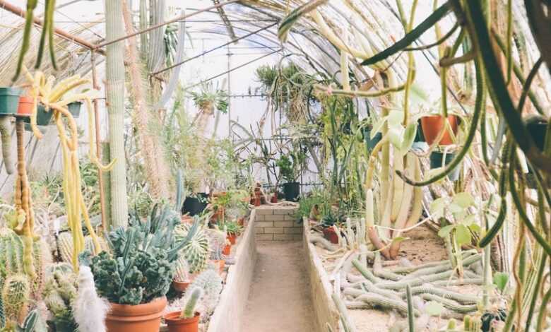 assorted plants on a white enclosure