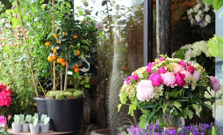 pink and white flowers on black plastic pots