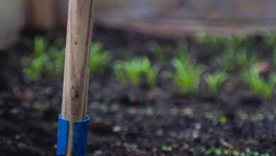 selective focus photo of shovel on sand