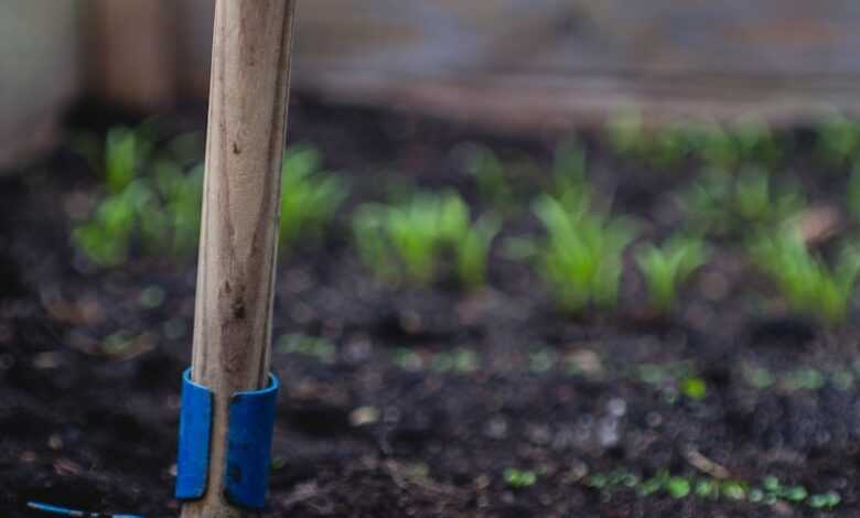 selective focus photo of shovel on sand