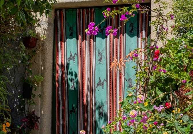 plants beside door