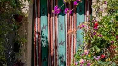 plants beside door