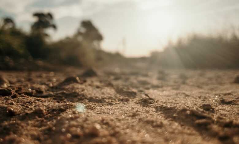 brown soil under white sky during daytime