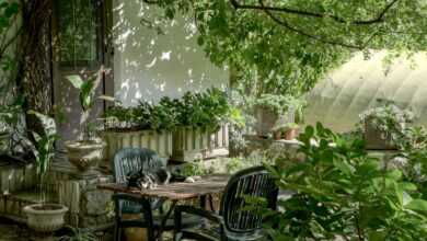 brown wooden table and chairs