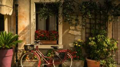 bicycle leaning on house