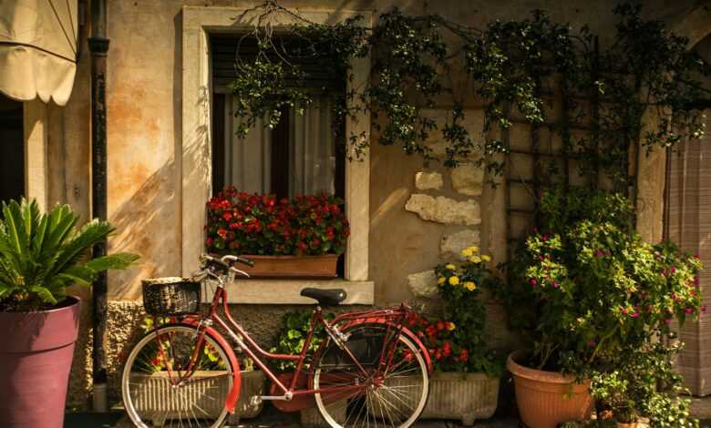 bicycle leaning on house