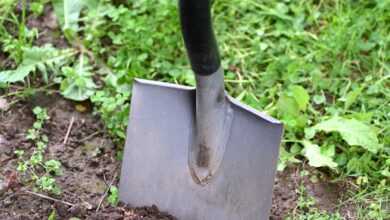 black and brown shovel on green grass