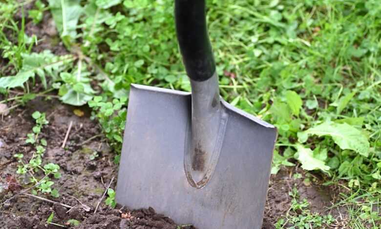 black and brown shovel on green grass