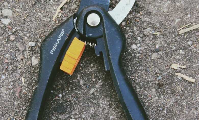 a pair of pliers is laying on the ground