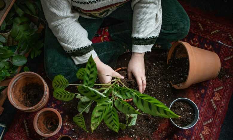 a woman kneeling down next to some plants