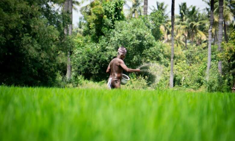 woman in black and white dress running on green grass field during daytime