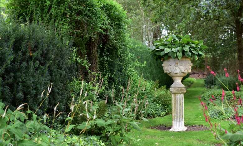 a garden filled with lots of green plants