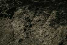 a black and white photo of a dirt hill