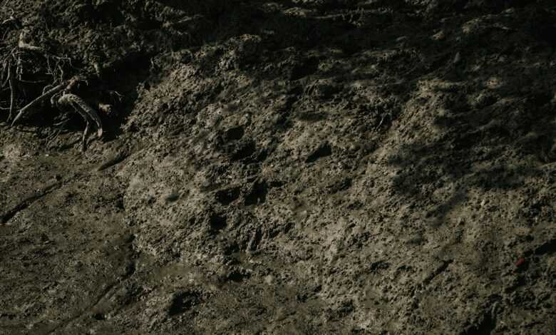 a black and white photo of a dirt hill