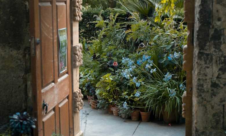 green plants beside brown wooden door