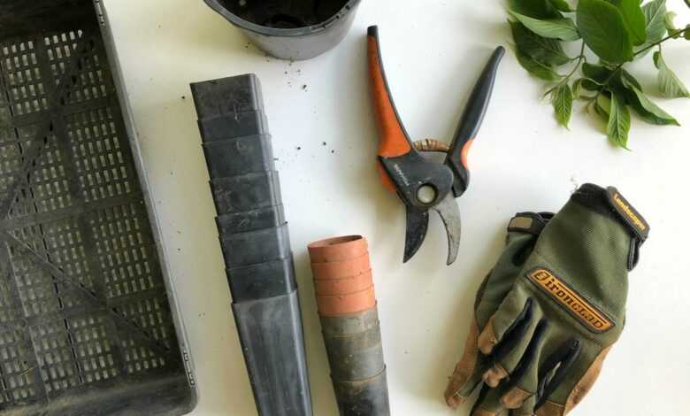 black pruning shears beside green gloves