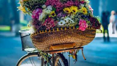 flowers in brown woven basket on bicycle