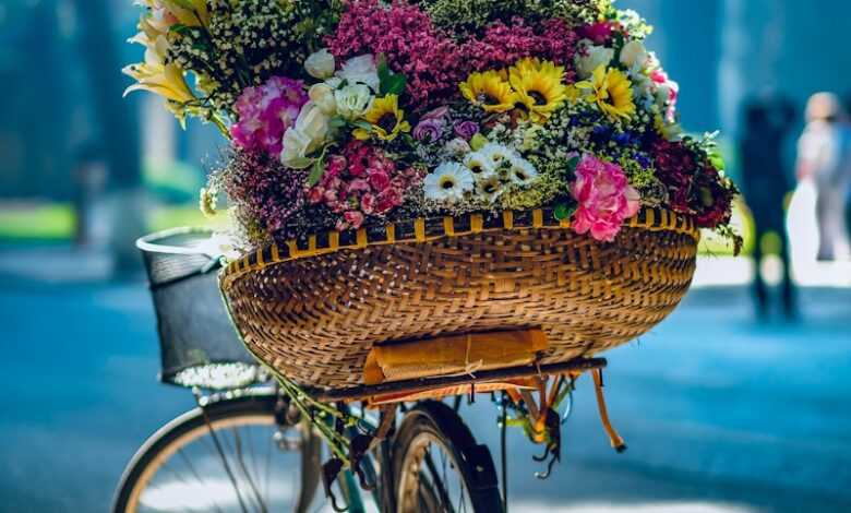 flowers in brown woven basket on bicycle