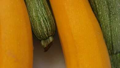 closeup photography of yellow and green vegetables