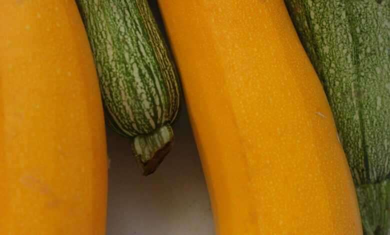 closeup photography of yellow and green vegetables