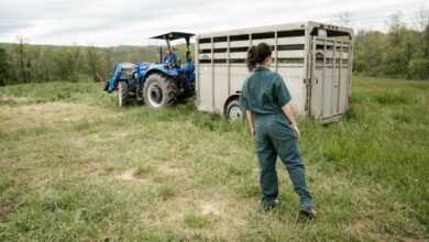 man in blue denim jeans standing beside blue tractor during daytime