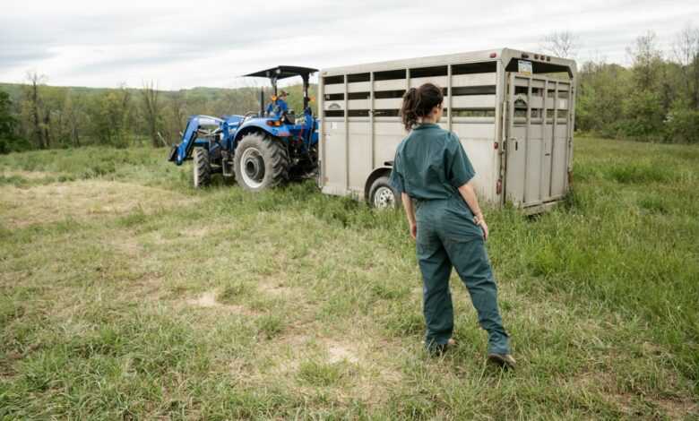 man in blue denim jeans standing beside blue tractor during daytime