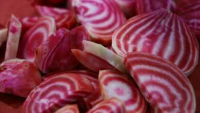 red and white sliced vegetables