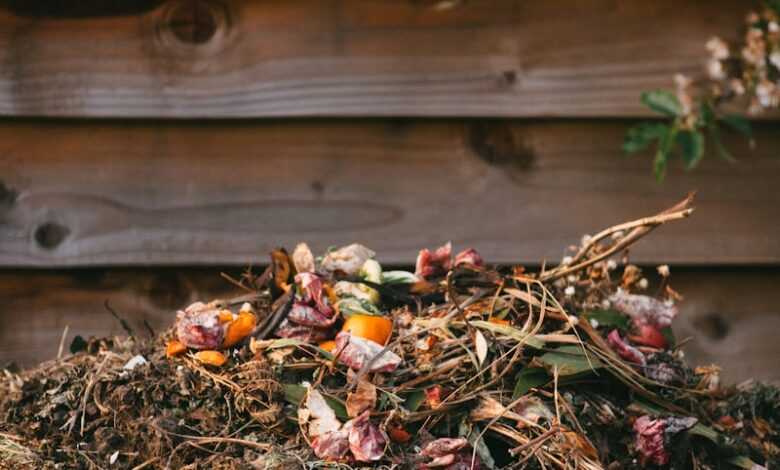 dried leaves on ground beside wooden fence