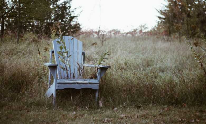 white wooden Adirondack chair near grass field