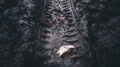 a tire track with a piece of paper on it