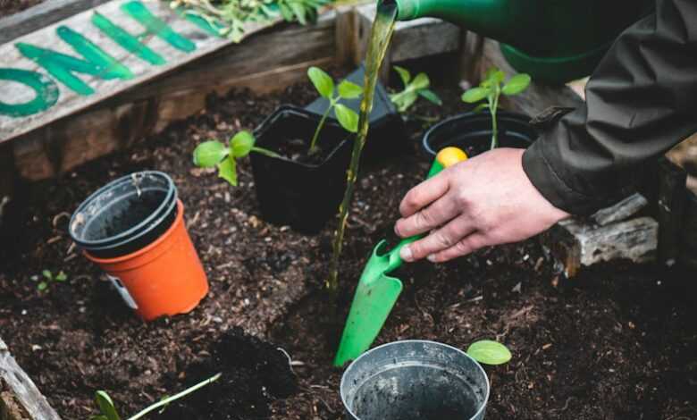 person holding green plastic shovel