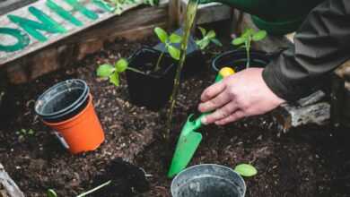 person holding green plastic shovel