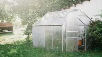 a small greenhouse in the middle of a yard