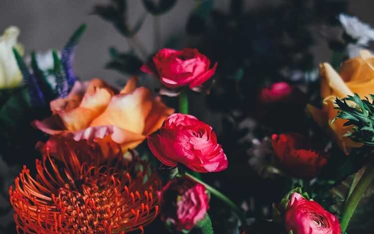 assorted petaled flowers centerpiece inside room