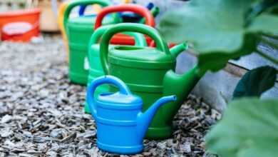 a blue watering can in a garden