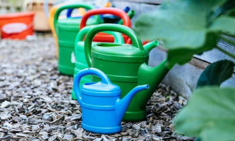 a blue watering can in a garden