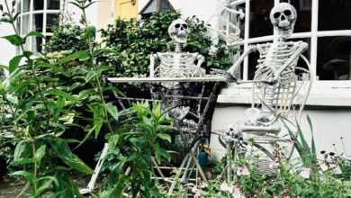 a skeleton sitting at a table in a garden