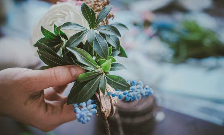 a hand holding a plant